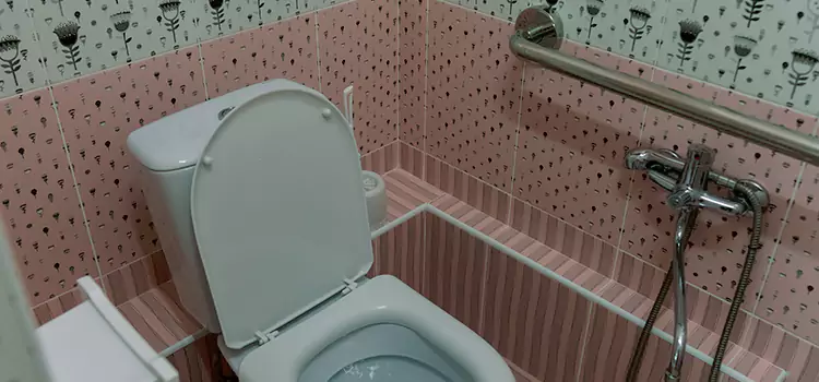 Meeting Diverse Needs With Accessible Restroom Solutions in Summerlin South, NV